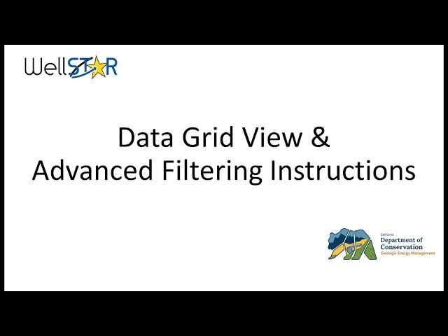 WellSTAR Data Grid View and Advanced Filtering Instructions