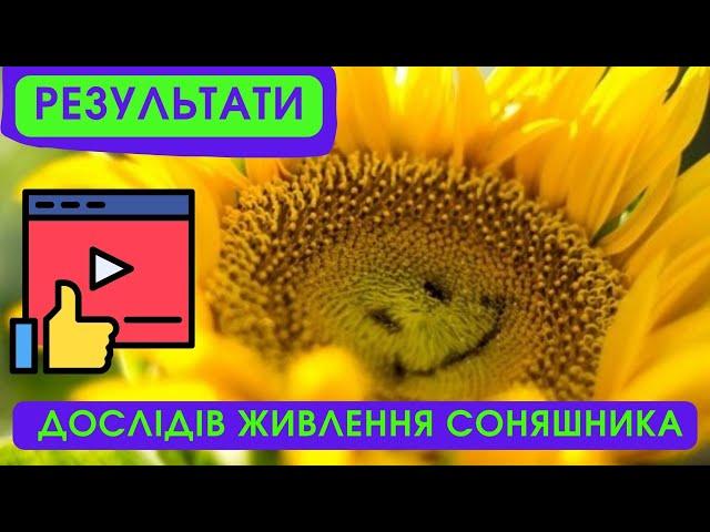  РЕЗУЛЬТАТИ ДОСЛІДІВ ЖИВЛЕННЯ СОНЯШНИКА (АЛЬДАЗОР, БОМОНД) #союзагроконсалтинг #насіння #соняшник