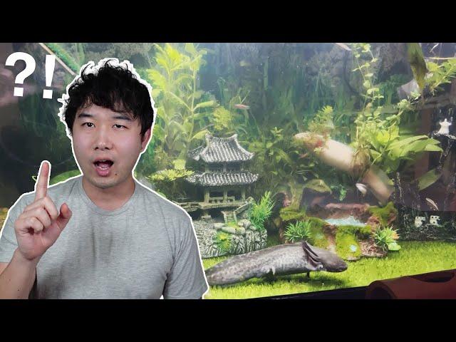 the CRAZIEST Axolotl tank I've seen | Fish Tank Review 227