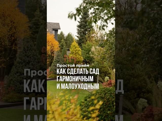 Как сделать сад гармоничным и малоуходным. Простой прием