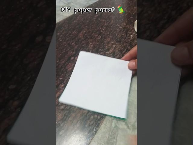 diy paper parrot  | art and craft | rank canvas art gallery