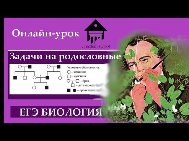 Как решать родословные? |ЕГЭ БИОЛОГИЯ|Freedom|