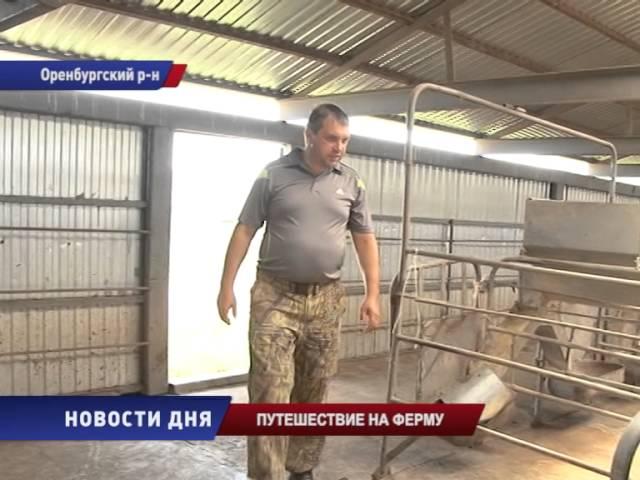 Праздник кормильцев