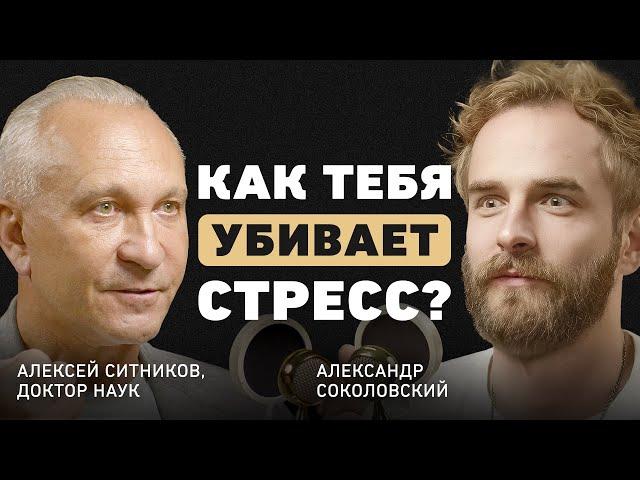 Какие сигналы нам дает мозг? Алексей Ситников про причины рака, гормон смерти и умение слушать себя