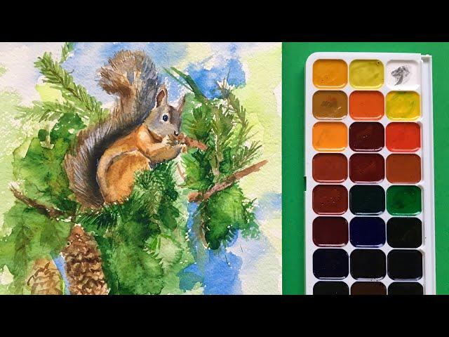 Белка рисунок акварелью/Как нарисовать белочку/ Watercolor Painting of a Squirrel