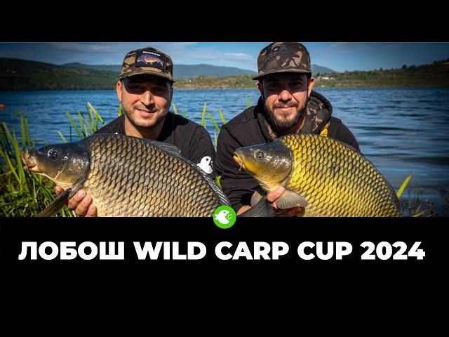 ШАРАНДЖИЙСКО СЪСТЕЗАНИЕ LOBOSH WILD CARP CUP 2024