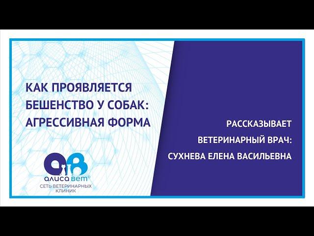 Как проявляется бешенство у собак. Агрессивная форма.