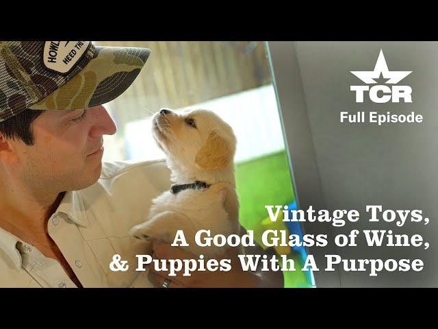 Puppies For Therapy I Texas Country Reporter