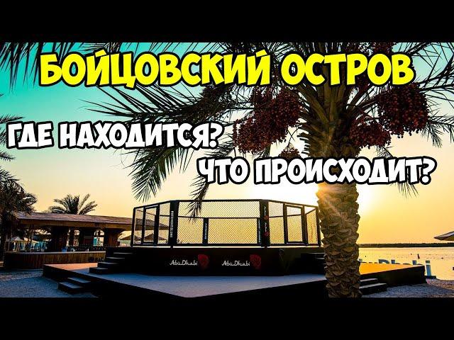 UFC | Остров Яс | Абу Даби | Дубай | Island ufc fight | 2021 | ММА