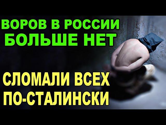 Вот и сходка не понадобилась! Как МЕНТЫ САМИ жecткo раскороновали известных воров в законе