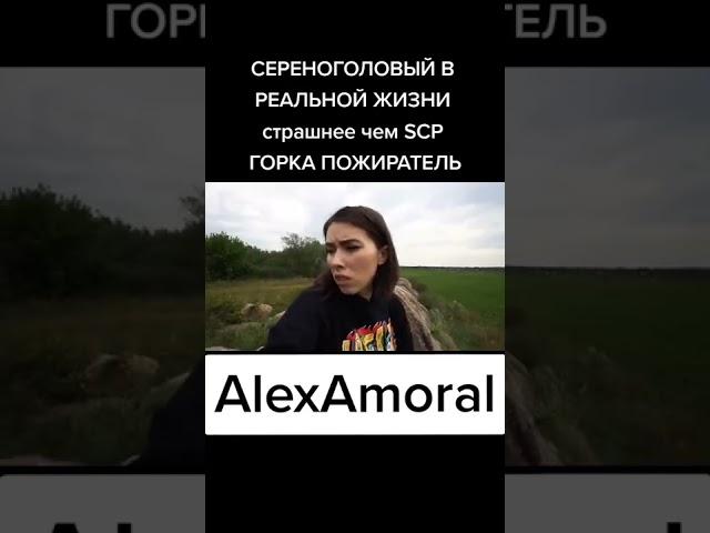 Серенаголовый .        @АлоЯ Вера