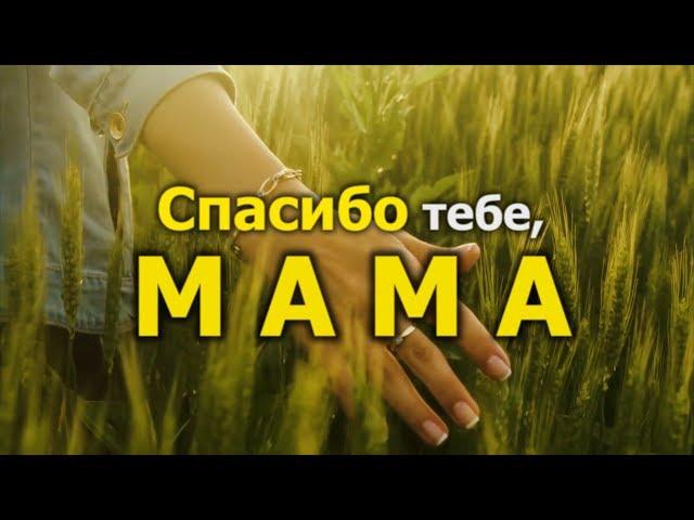 МАМАМ Ролик ко Дню Матери