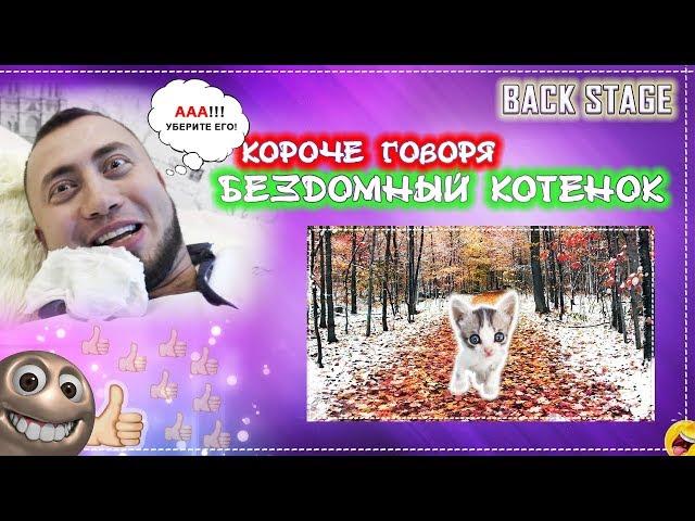 КОРОЧЕ ГОВОРЯ, Я БЕЗДОМНЫЙ КОТЕНОК [От первого лица] История одной жизни. Как снимали сериал