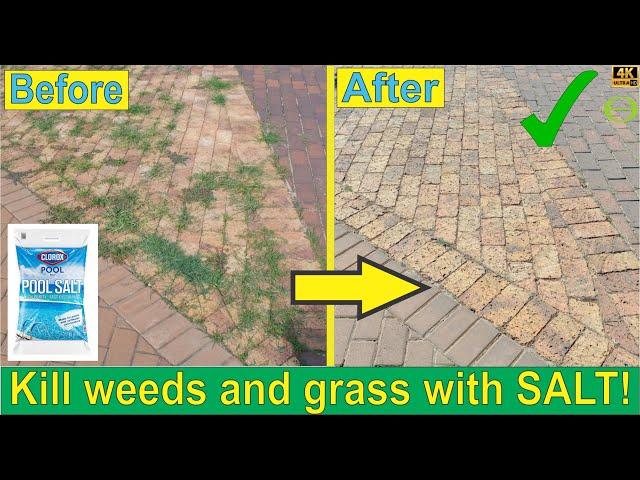 How to Kill Weeds and Grass on Paving Naturally Using Salt - Organic and Safe