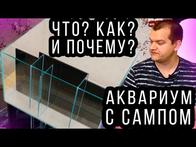 Мои новые аквариумы, аквариум с сампом, разведение и содержание дафнии, тетраселмиса!