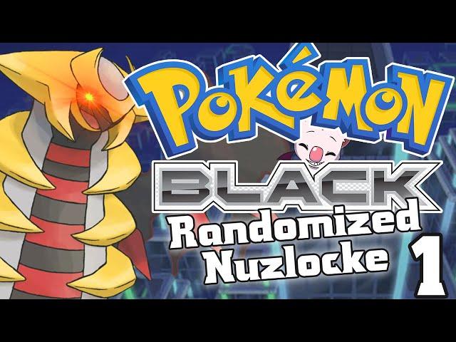 Rpg Monger Streams - Pokemon Black Randomized Nuzlocke (Part 1)