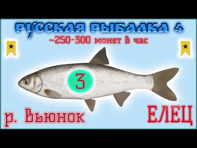 РР4 ВЬЮНОК ЕЛЕЦ ТРОФЕЙ / РУССКАЯ РЫБАЛКА 4 ВЬЮНОК ТРОФЕЙНЫЙ ЕЛЕЦ / RUSSIAN FISHING 4 DACE TROPHY