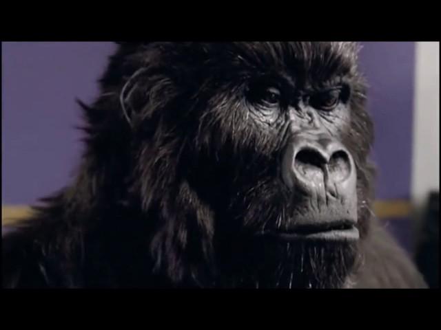 Cadbury's Gorilla Playing Drums - Advert Commercial