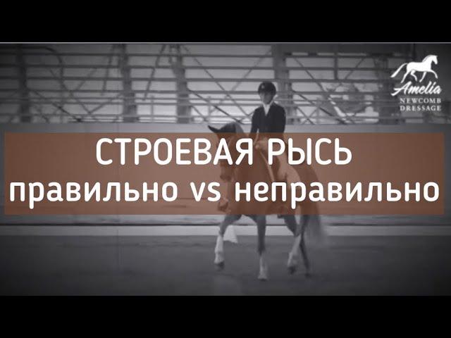 Строевая рысь. Правильно vs неправильно