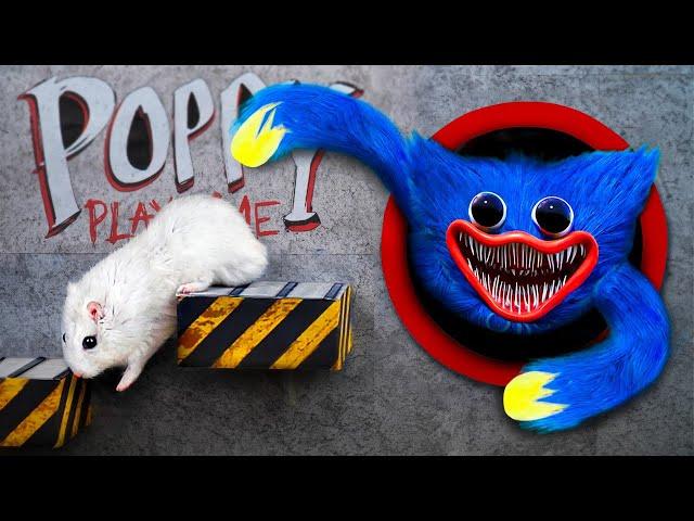 All Characters In Poppy Playtime Vs Hamsterious