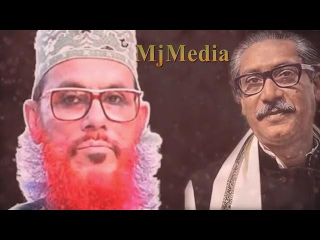 Allama Delwar Hossain Saidi / বঙ্গবন্ধুকে নিয়ে চরম হাসির ওয়াজ | আল্লামা সাঈদী |