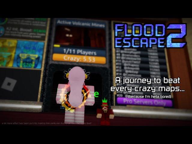 Flood Escape 2: Too Crazy