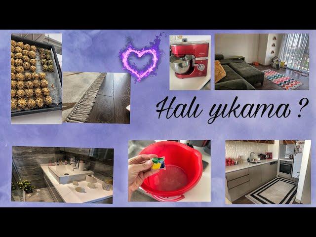 HALI YIKADIM MİNİK |KEDİM KISIRLAŞTI BU KURABİYE MÜTHİŞ TEMİZLİK DÜZEN