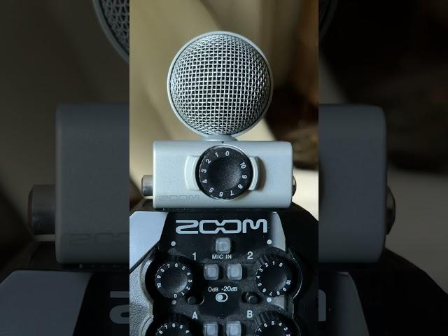 Do They Work as a Sound Interface? Zoom H4n Pro vs H8