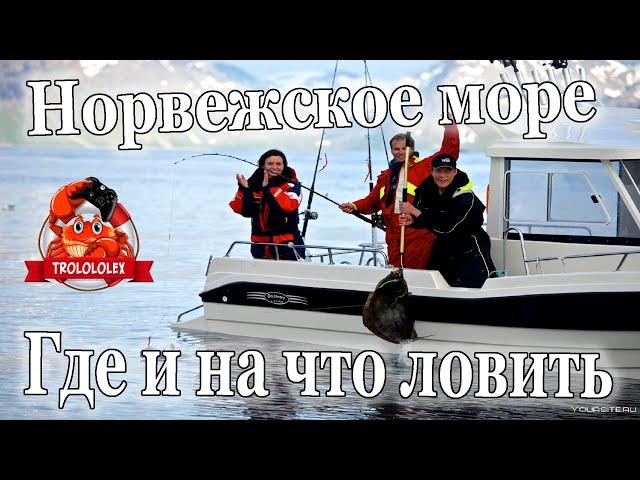 Руксская рыбалка 4 Норвежское море. Где ловить? Как ловить? На что ловить??? +Розыгрыш