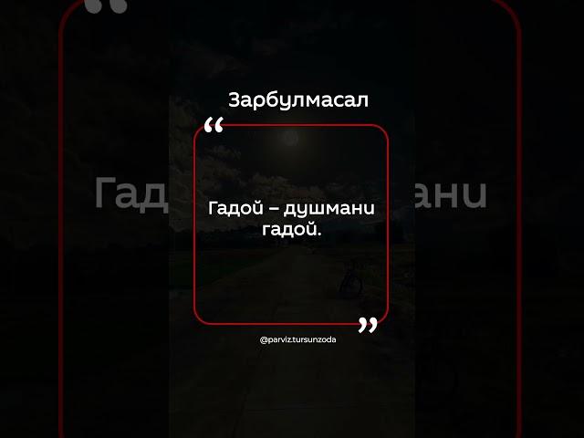 #зарбулмасал