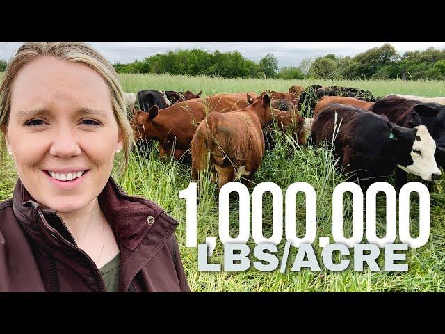 Ultra High Density Grazing Cover Crops - April 19, 2024