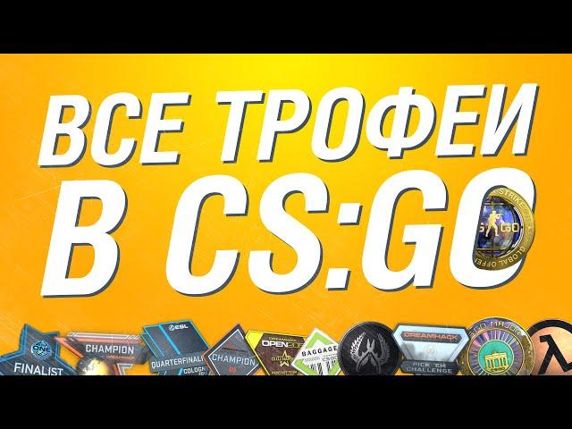 Все трофеи в CS:GO. Редкие медали, коллекции значков и пинов