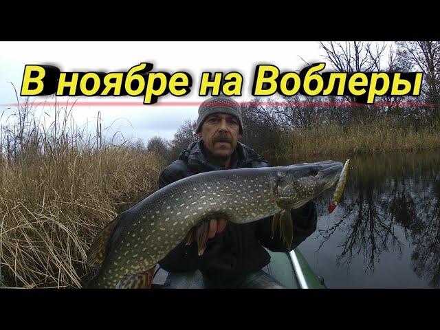 Ловля Щуки поздней осенью на Воблеры. Рыбалка на спиннинг в ноябре.