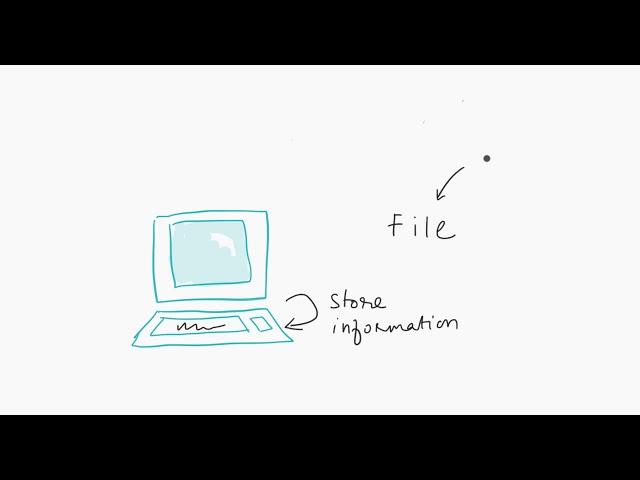 What is a CSV File?