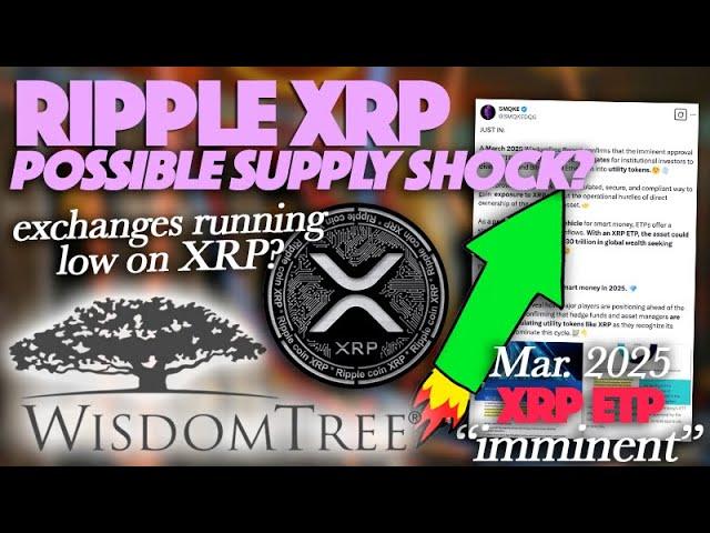 Ripple XRP: +620% Active XRP Addresses Could Result In Supply Shock, XRP ETPs Now Imminent