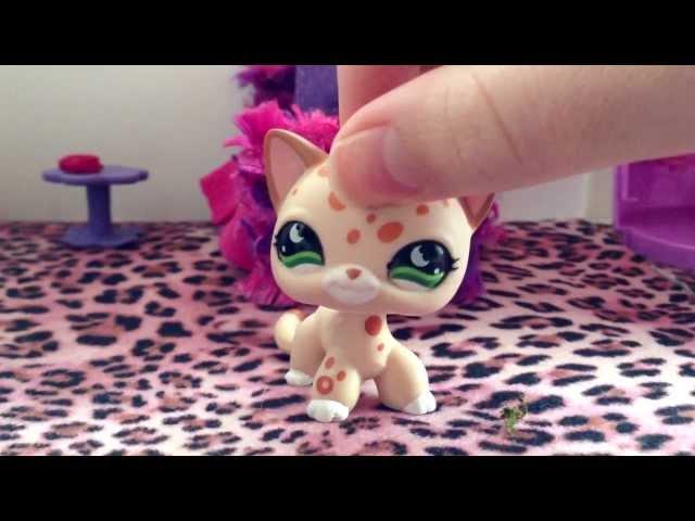 Littlest pet shop: The Diabetes dilemma (Part 1)