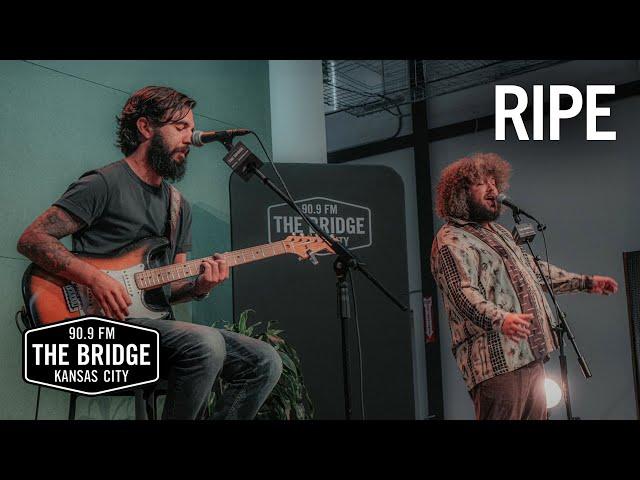 Ripe - 'First Time Feeling' | The Bridge 909 Sessions