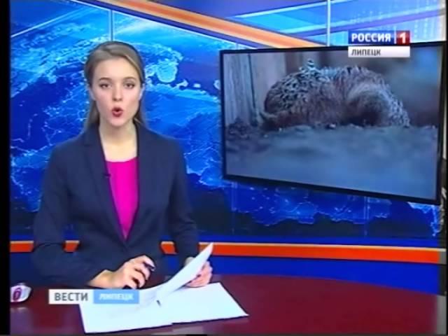 В Добринском районе развивают фазанарий