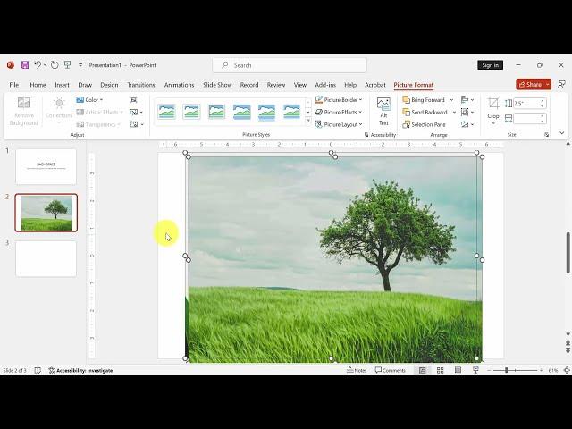 How to batch import pictures into different slides of PowerPoint