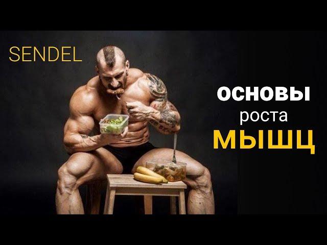 КАК НАКАЧАТЬ МЫШЦЫ? 5 ГЛАВНЫХ ПРИНЦИПОВ РОСТА МЫШЦ.