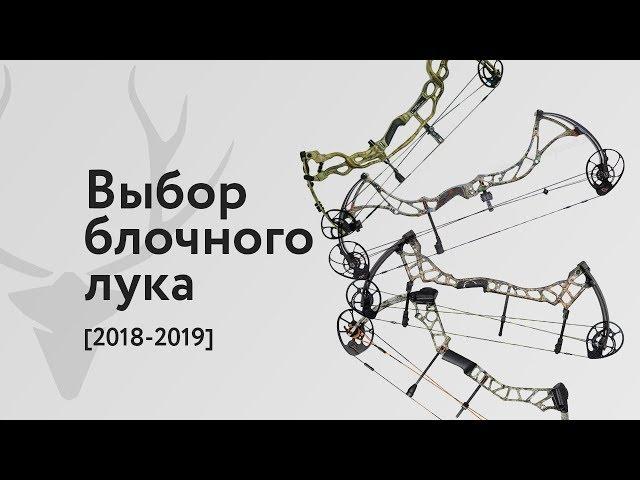 Выбор блочного лука, на что обратить внимание [2018-2019]