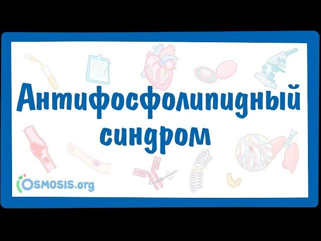 Антифосфолипидный синдром (АФС) — причины, симптомы, патогенез, диагностика, лечение