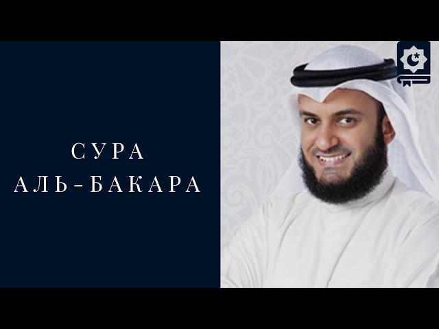 Сура Аль-Бакара, Мишари Рашид | Alafasy Al-Baqarah