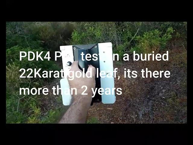 PDK4 PROfessional LRL