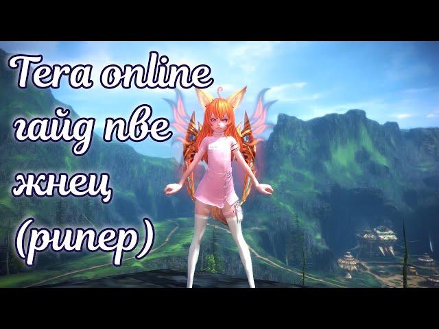  Tera online гайд жнец пве  актуально 2024 для Menma и Asura