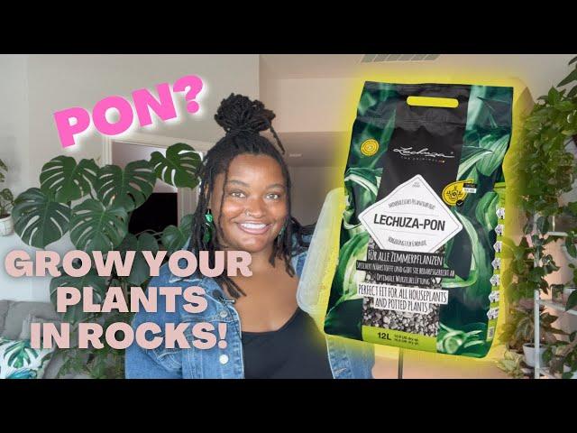 PON 101: A BEGINNERS GUIDE to What is Lechuza PON? | COMPLETE Care Guide