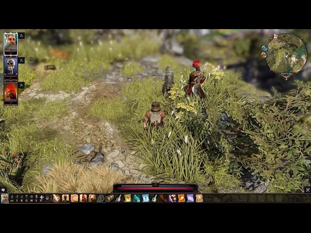 Divinity  Original Sin 2 (3) - А вот и форт "Радость".