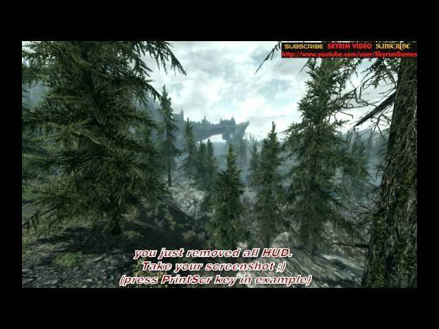 Skyrim - How to Take Amazing Screenshot!