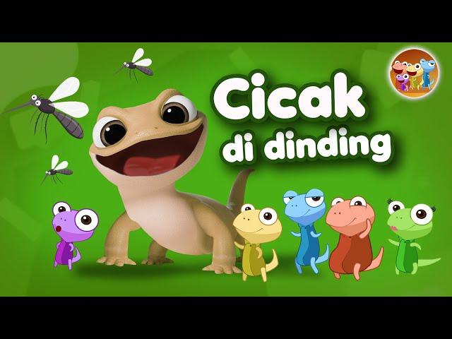 Cicak Cicak di Dinding - Lagu Anak Indonesia Populer