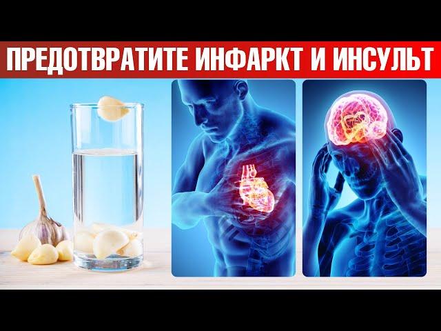 Пейте чесночную воду: профилактика инфаркта и инсульта